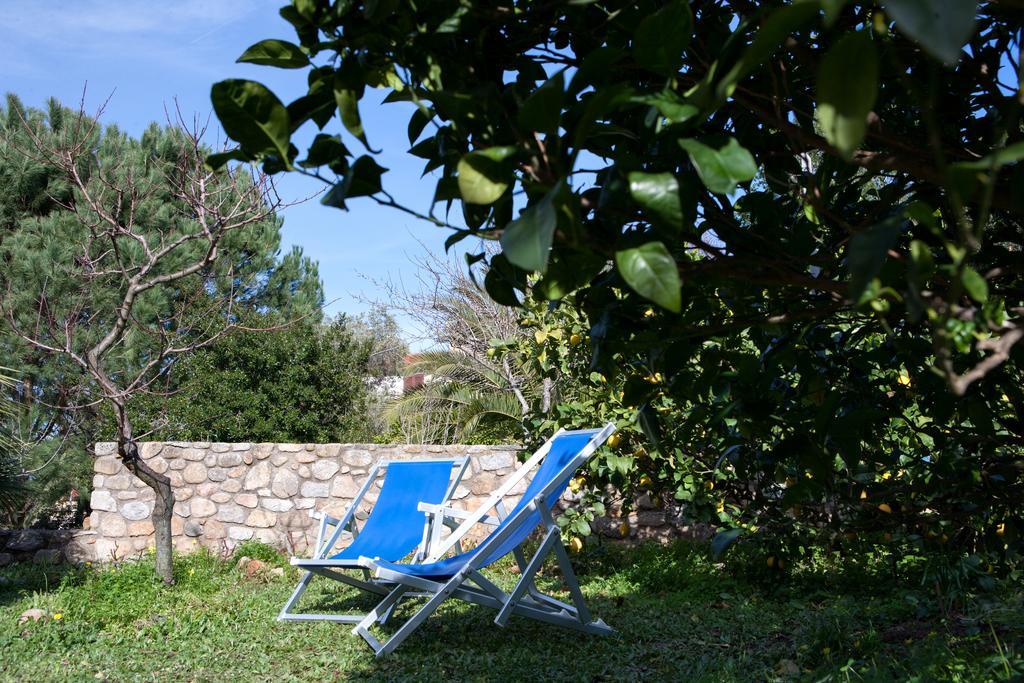 Villetta Il Gelsomino Marciana Marina  Dış mekan fotoğraf